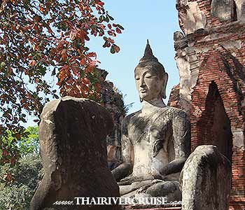 Grand Pearl Cruise Ayutthaya - Wat Mahathat