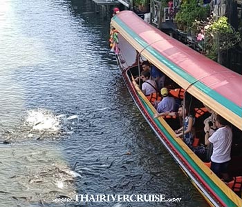 The most famous spot for tourists to stop and feed the fish along the canals in this area is near the Artist's House (Baan Silapin) on Khlong Bang Luang (a tributary of Khlong Bangkok Yai).-The area around it, the Khlong Bang Luang community, features other historic wooden shophouses, cafes, and a tranquil atmosphere. -Rice Barge Canal Tour Bangkok : Best rice barge canal tour Bangkok private boat rental Chao phraya river. Booking to rice barge cruise Bangkok private visit canal Thonburi