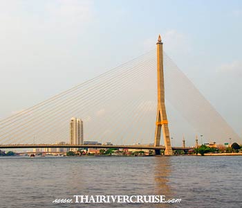 The Rama VIII Bridge is one of Bangkok’s most striking modern landmarks. Opened in 2002, this architectural marvel spans the Chao Phraya River, connecting the historic Rattanakosin (Old Town) district with the Thonburi side. It is named in honor of King Ananda Mahidol (Rama VIII). : Lunch Cruise Bangkok Chao Phraya Sightseeing River Cruise Half Day Tour from Bangkok The Rama VIII Bridge is one of Bangkok’s most striking modern landmarks. Opened in 2002, this architectural marvel spans the Chao Phraya River, connecting the historic Rattanakosin (Old Town) district with the Thonburi side. It is named in honor of King Ananda Mahidol (Rama VIII). : Lunch Cruise Bangkok Chao Phraya Sightseeing River Cruise Half Day Tour from Bangkok