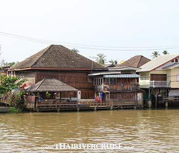 Experience authentic Thai waterfront living. The banks of the Chao Phraya River and its remaining historic canals are dotted with classic wooden stilt houses, vintage teakwood structures, and vibrant local communities that have remained unchanged for decades. : Lunch Cruise Bangkok Chao Phraya Sightseeing River Cruise Half Day Tour from Bangkok Experience authentic Thai waterfront living. The banks of the Chao Phraya River and its remaining historic canals are dotted with classic wooden stilt houses, vintage teakwood structures, and vibrant local communities that have remained unchanged for decades. : Lunch Cruise Bangkok Chao Phraya Sightseeing River Cruise Half Day Tour from Bangkok